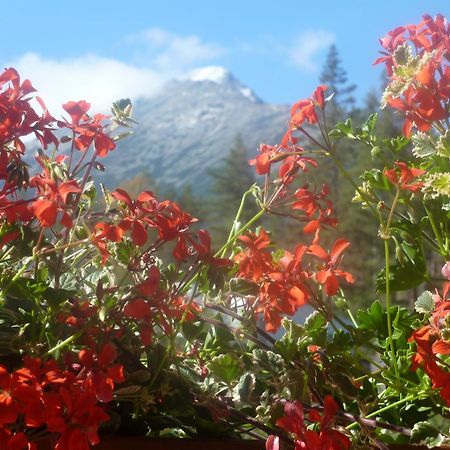 Erika penzión Vysoké Tatry Exterior foto